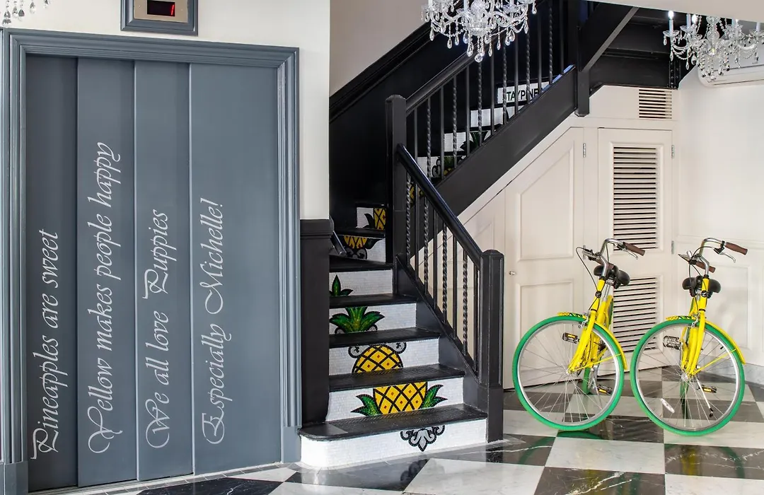 Staypineapple, A Delightful Hotel, South End-1
